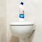 Détartrant Pour Broyeurs Wc Et Canalisation Helvet 1 L