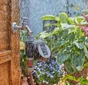 Programmateur d'arrosage à piles GARDENA Flex 1890-20 1 voie