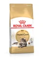 Royal Canin Alimentation Chat Maine Coon 4 Kg