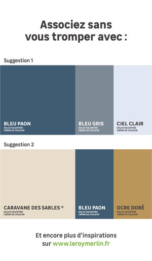 Testeur Peinture Bleu Paon Satiné Crème De Couleur Dulux Valentine 30 Ml