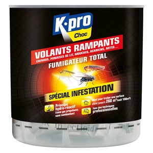 Insecticide Fumigène Tous Insectes Kapo, 0.34 L