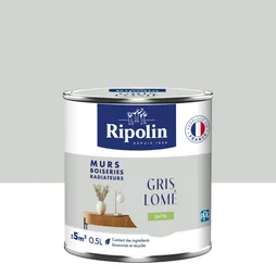 Peinture mur boiserie et radiateur, RIPOLIN, 0.5 L gris lomé satiné