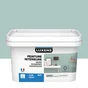 Peinture mur, boiserie, radiateur Intérieure LUXENS laguna 5 mat 2.5 l