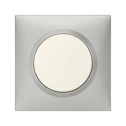 Plaque simple Dooxie, LEGRAND, aluminium