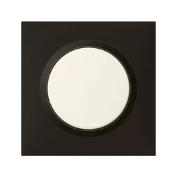 Plaque Simple Dooxie, Legrand, Noir Velours