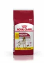 Royal Canin Alimentation Chien Medium Adult 15+ 3Kg