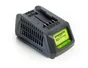 Chargeur Greenworks G24Uc, 24 V