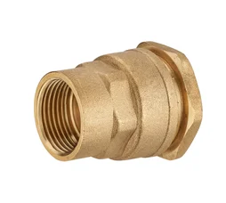 Raccord À Compression Laiton D.20 Pour Tube En Polyéthylène