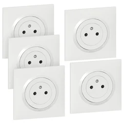 Lot De 5 Prises Avec Terre Complet Dooxie, Legrand, Blanc