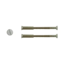 Lot De 2 Vis Acier Laqué, L.4.5 X L.0.7