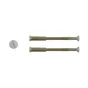 Lot De 2 Vis Acier Laqué, L.4.5 X L.0.7