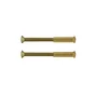 Lot De 2 Vis Acier Laitonné, L.4.5 X L.0.7