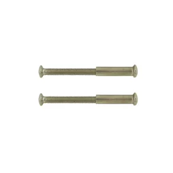Lot de 2 vis relieuse acier nickelé longueur 45mm