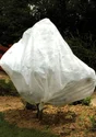 Voile D'Hivernage Va00026