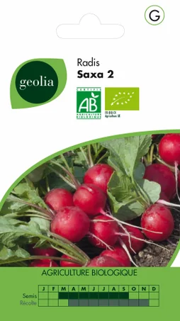 Graine Potagère Radis Saxa Geolia