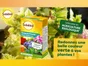 Traitement des maladies chlorose SOLABIOL , pourtous végétaux, 100g