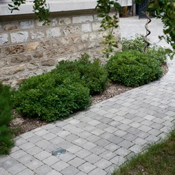 Pavé Béton Samara, Gris, Noir Nuancé L.10.5 Cm X L.10.5 Cm X Ep.40 Mm