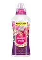 Engrais longue durée ALGOFLASH 750ml 100 m²