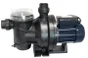 Pompe de piscine avec préfiltre SPID'O POOL SPR800, 15 m³/h, 1.1 CV