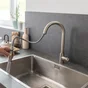 Mitigeur de cuisine avec douchette chromé DELINIA LILY