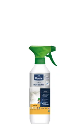 Produit anti-moisissures Dip etanch, RIPOLIN incolore 0.5 l
