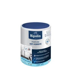 Peinture Antihumidité Rip Etanch, Ripolin Blanc 0.75 L