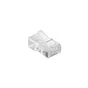 Lot De 10 Fiches Rj45 (Catégorie 5) Mâle Incolore / Transparent Evology