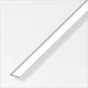 Plat Aluminium Brillant, L.1 M X L.1.5 Cm
