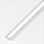 Plat Aluminium Brillant, L.1 M X L.3 Cm