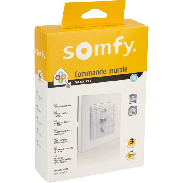 Commande Murale 1 Canal Pour Motorisation De Volet Roulant, Somfy