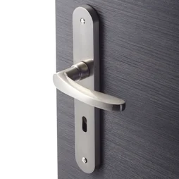 2 poignées de porte Louise trou de clé INSPIRE, zamak entraxe 195 mm