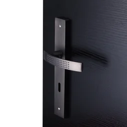 2 poignées de porte Louna trou de clé INSPIRE, aluminium entraxe 195 mm