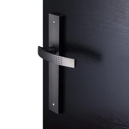 2 poignées de porte Louna sans trou INSPIRE, aluminium entraxe 195 mm