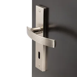 2 poignées de porte Louna trou de clé INSPIRE, aluminium entraxe 165 mm
