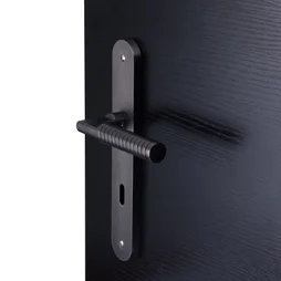 2 poignées de porte Eden trou de clé INSPIRE, zamak entraxe 195 mm