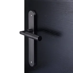 2 poignées de porte Eden sans trou INSPIRE, zamak entraxe 195 mm