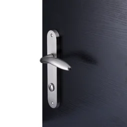 2 poignées de porte Agathe conda/décondamnation INSPIRE, zamak entraxe 165 mm
