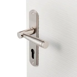 1 Poignée De Porte Nine Trou De Cylindre Inspire, Zinc Entraxe 165 Mm