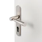 1 Poignée De Porte Nine Trou De Cylindre Inspire, Zinc Entraxe 165 Mm
