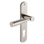 1 Poignée De Porte Nine Trou De Cylindre Inspire, Zinc Entraxe 165 Mm