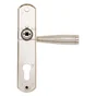 1 Poignée De Porte Nine Trou De Cylindre Inspire, Zinc Entraxe 165 Mm