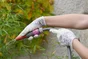 Gant pour les travaux de jardinage latex, taille 7 ROSTAING