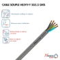 Câble Électrique 5 G 2.5 Mm² Ho5Vvf L.10 M, Gris