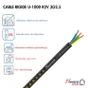 Câble Électrique 3 G 2.5 Mm² U1000R2V L.3 M, Noir