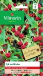 Graine potager epinard fraise VILMORIN 1 g