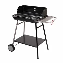 Barbecue au charbon de bois Somagic Torino gris
