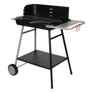 Barbecue au charbon de bois Somagic Torino gris
