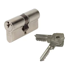 Cylindre De Serrure Bricard Alpha L.30 + 30 Mm