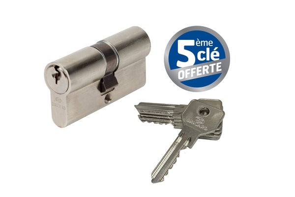 Cylindre De Serrure Bricard Alpha Débrayable L.30 + 30 Mm