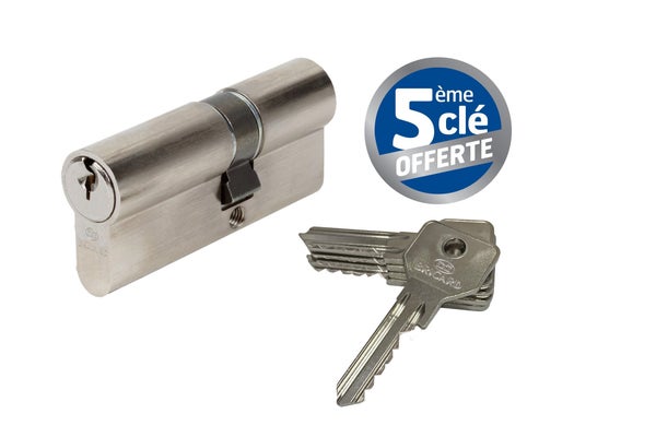 Cylindre De Serrure Bricard Alpha Débrayable L.30 + 40 Mm